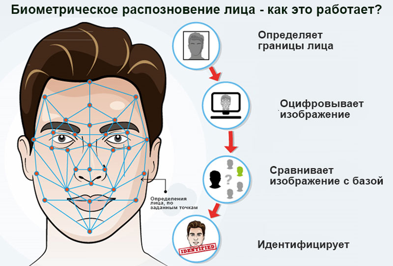 Узнай больше о биометрии!.