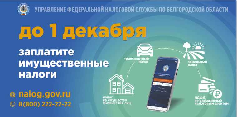 Имущественные налоги необходимо уплатить не позднее 1 декабря. Имущественные налоги необходимо уплатить не позднее 1 декабря.
